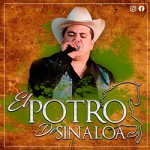El Potro De Sinaloa